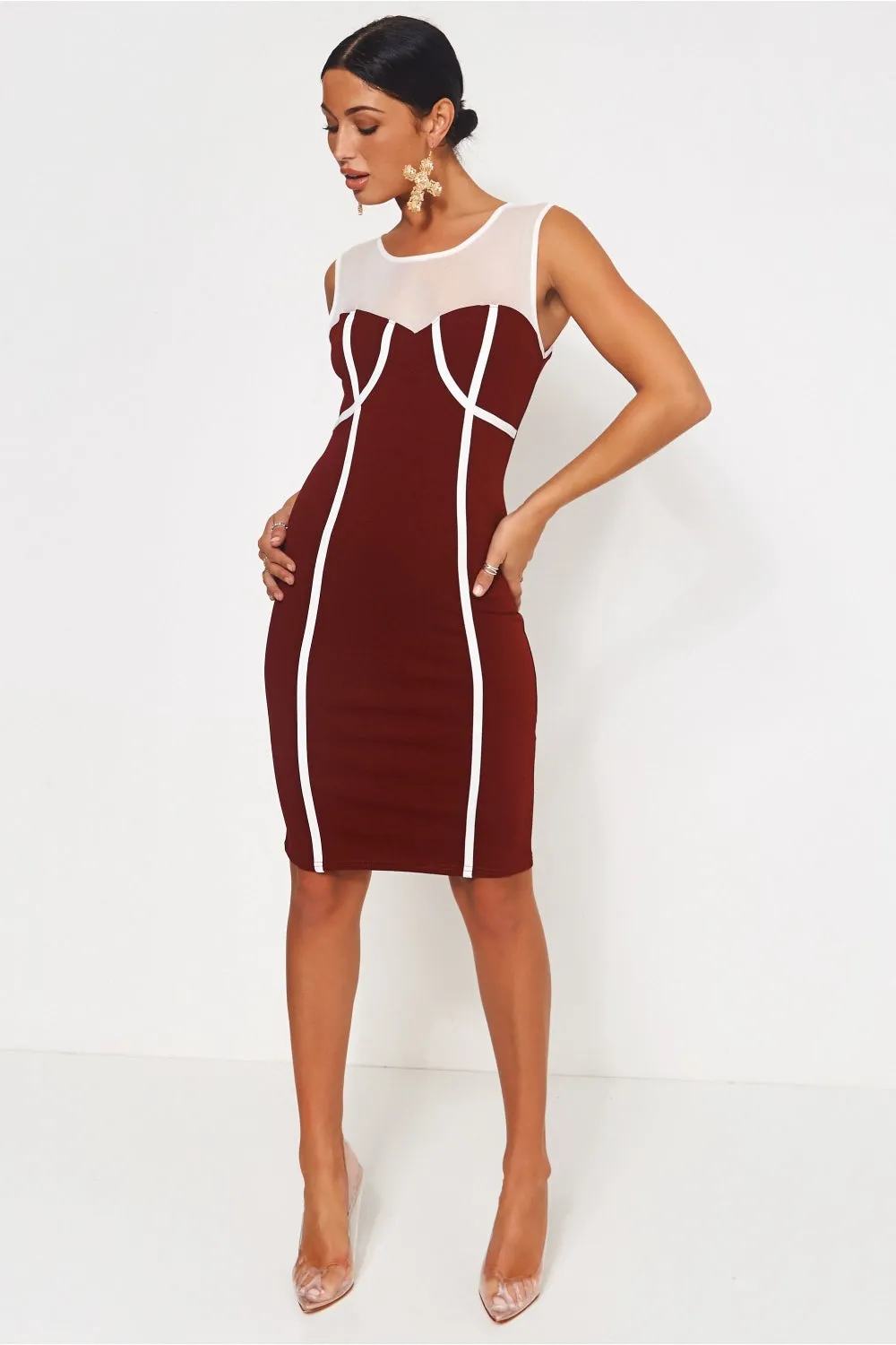 Molly Burgundy Mesh Bodycon Dress