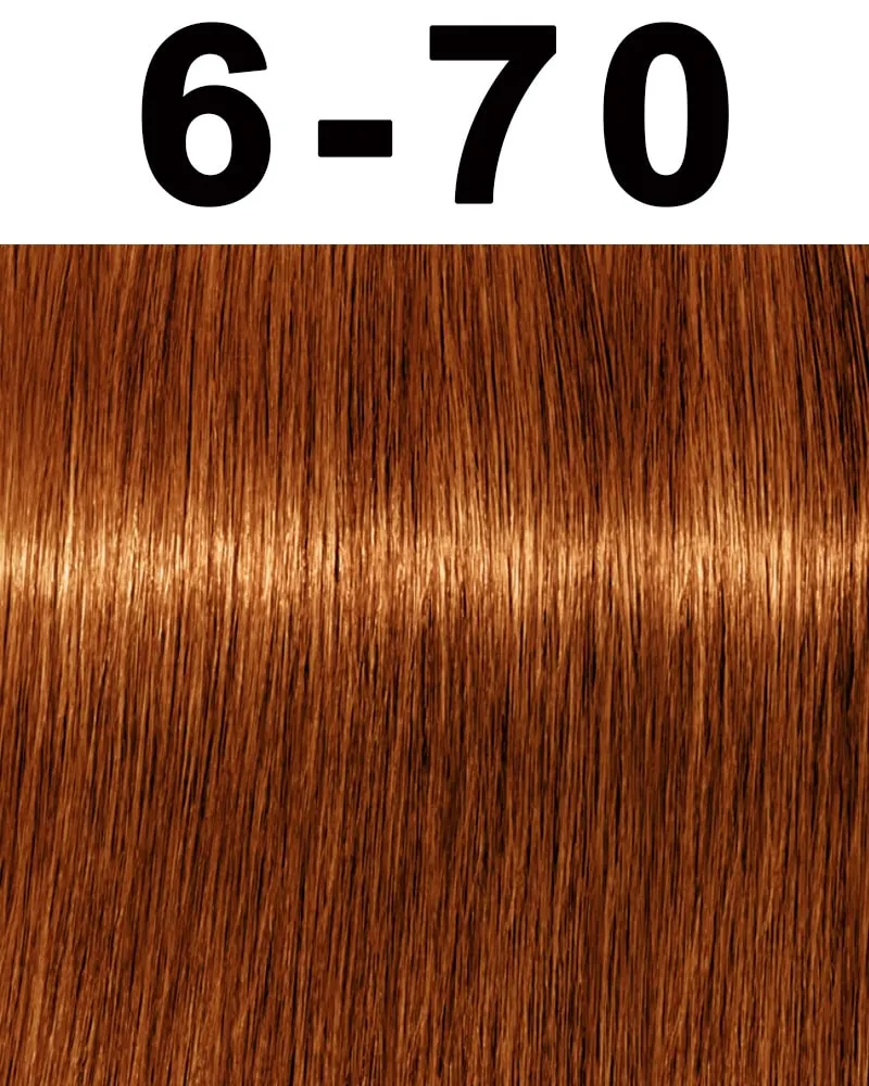 Schwarzkopf Igora Absolutes Hair Color