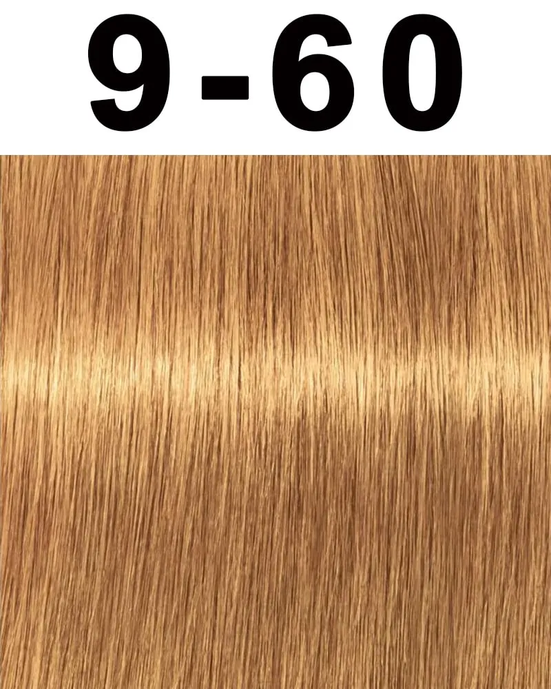 Schwarzkopf Igora Absolutes Hair Color