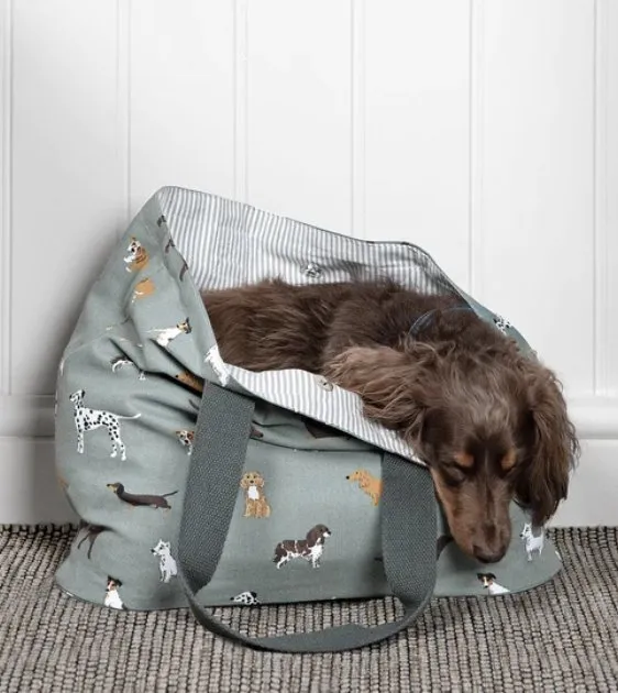 Sophie Allport Fetch Everyday Bag For Dog People