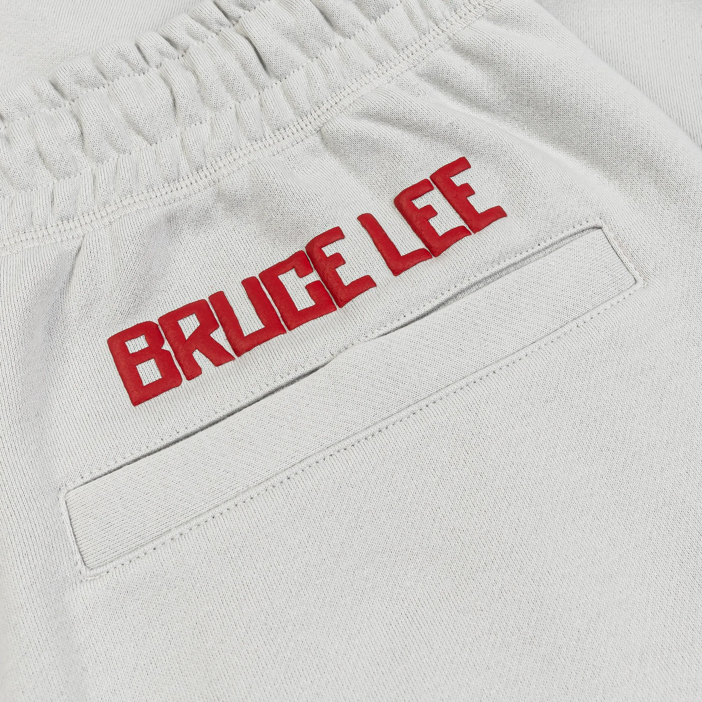 SP x Bruce Lee Dragon Joggers Mens Pants (Grey/Red)